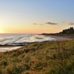 green grass field and body of water