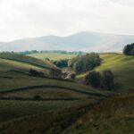 A view of a grassy field with mountains in the background