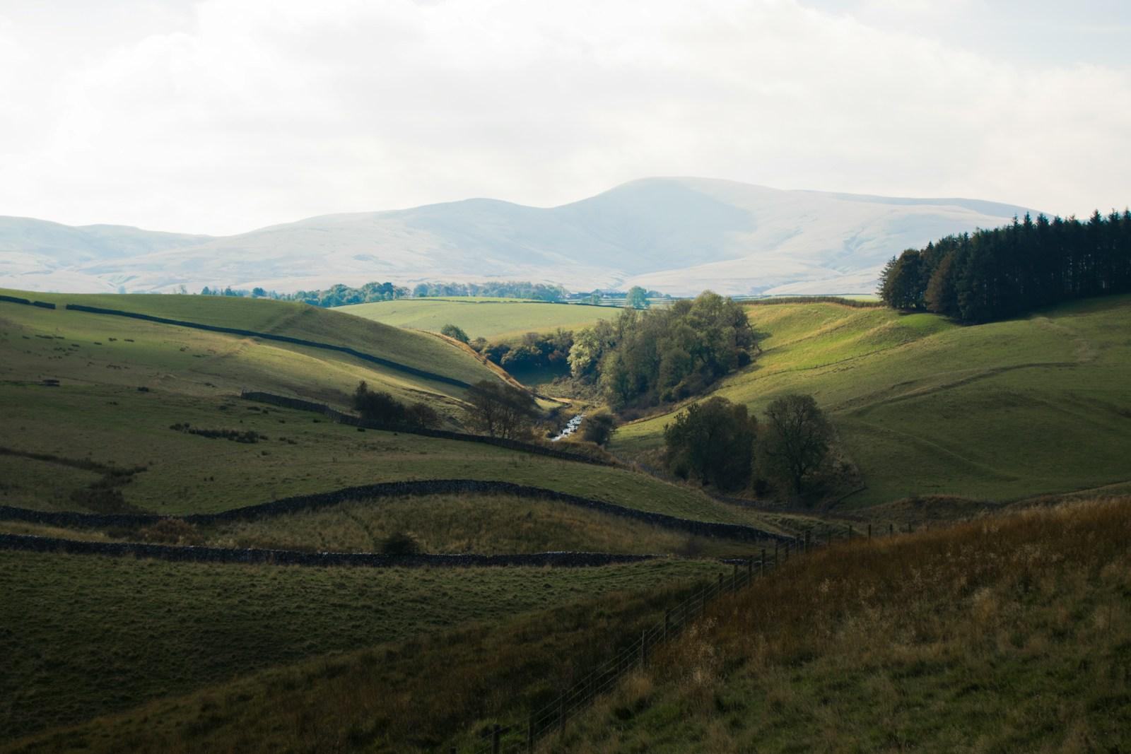 A view of a grassy field with mountains in the background