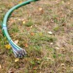 a green hose laying on top of a grass covered field