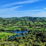 green trees and green grass field near body of water under blue sky during daytime