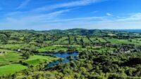 green trees and green grass field near body of water under blue sky during daytime