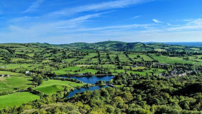 green trees and green grass field near body of water under blue sky during daytime