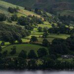 a scenic view of a lush green hillside